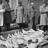 ������ ��������� ������ � ������ �� �� ���������� ����������