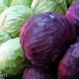 ���� �������: �� ��������� ���������