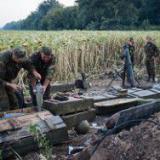 ���� ��������� � ��������