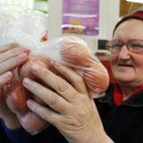 ������ �� ����������������� ������� �� ��������������� �������