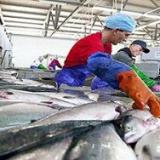 ���������� ������������ ����� ��� � �������������