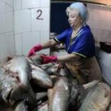 �� ������������ ������� ����� ��������� ���������