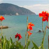 �� ���������� ��� ����� � ��� ������� �����