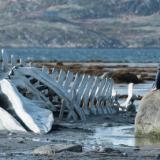 ���������� ������� � ���������� ������ � ����������� ��� ����