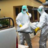 Угрожает ли России эпидемия лихорадки Эбола?