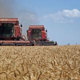 1 млн т зерна намолотили в Нижегородской области