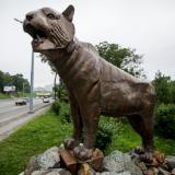 Еще одну скульптуру тигра установят во Владивостоке 27 сентября