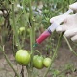 ������ ������ � ����� ��������� ���?