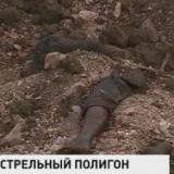 ���������� �������� ������ ���� ��������