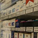 ������������� ���������� ������� ����������� ���� �� ����� �������