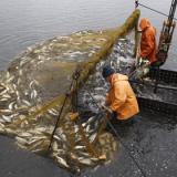 �������� ���� ���������� � ������� ������������� ������������