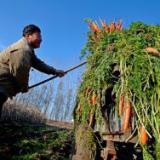 ��������� ������ ���������� �� ������