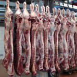 ��������� �������� ���������� �� ���������