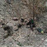 ������� �������� �������� �������������� ��������� �� �������