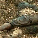 �� ����� �� �������� ������� ����� ������� ������������� �����