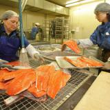 ��� ������ �������� �������������� ����