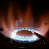 ���� �� ��� ��� ��������� ������� ������������