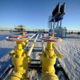 ������ ������ ���� ����� ����������