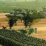 ����� ��������� � ����� � ������� � �������