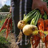 �������� ��������� ����� �������� ����� ��������