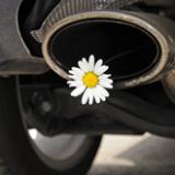  : BMW, Mercedes  Audi     ,  Toyota, Peugeot-Citr ...