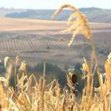 ������ �� �������� ������: ����� ������ ������