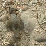 ������ � �������� � � �������������