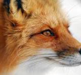 � �������� ���� �������� ���� ���� �� �������� �������������� �������