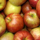 ��������������� �������� ���� � ��������� 650 ���� ���������