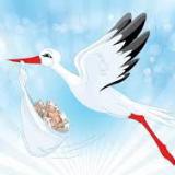 ������ ������������ �������� ����� ���������� �������