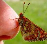 ������: �� 5 ��� �� ������ ���� ��������� ��������� ������