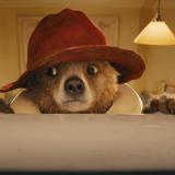 ���� ����� 2014: ������ �������� �� �����