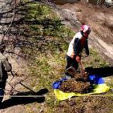 ����� �����: �������� ����������� ��������� ������