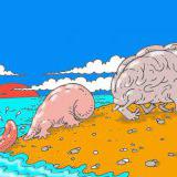 #�����(�����,�������,������)��������#