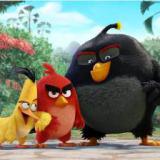 ����� ���������� ���� �Angry birds� �������� �� ������� ������ ����� 2016 ����