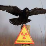 ���� ����������