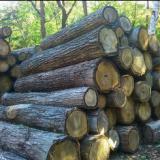 ����� ���������� ������� ������� ��������� ������ �� �����