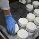 ������ �������� ��������� � ������ �������� �� 75,2%