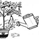 ��������� �������������� ������ MMRCA ����� ������ ��������� �� ������