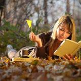 �������� �� ������� � 11 ������� 2014