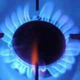 ����: ������� ������ ���� �� ����