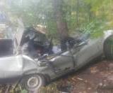 ��� ����������� �� ���� 15-������ ������� ��� �������� ������� � ���