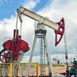 ����� ������� �������� ���� �� �����