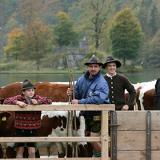 ������� ������ �������� 5 ���������� ���� ��-�� ������� ������ ������