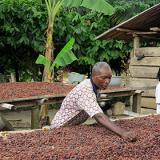 ��������� �������� �������� ���������� �����