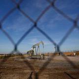 �������� ����