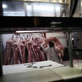 ���������������� �������� ������ ������� �� ��������