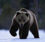 ������ ������ ������� ����� ����� ��������� �������