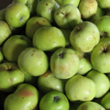 �������� ������������ � �������� �������� �����