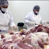 ���������������� �������� ���� ����������� ������������